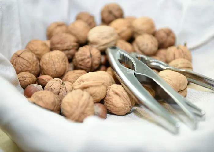 Baldinini Hotel&gb Restaurant 4* Rimini