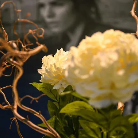 Hotel Baldinini Rimini