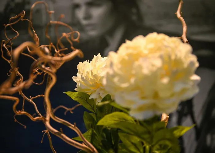 Szálloda Baldinini & Gb Restaurant Rimini