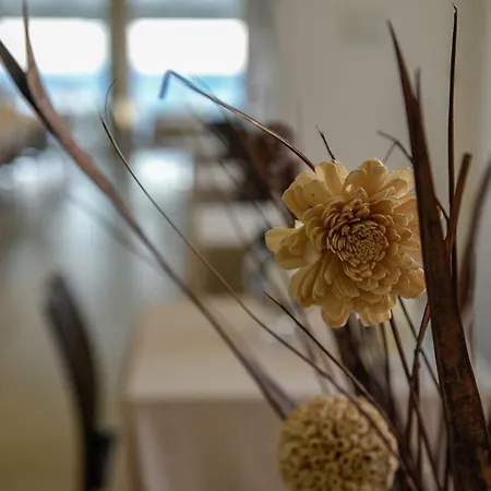 Baldinini & Gb Restaurant Hotel